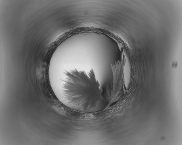 X0000096140968200802011207