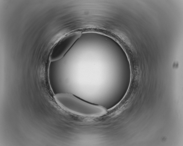 X0000096140969200802011207