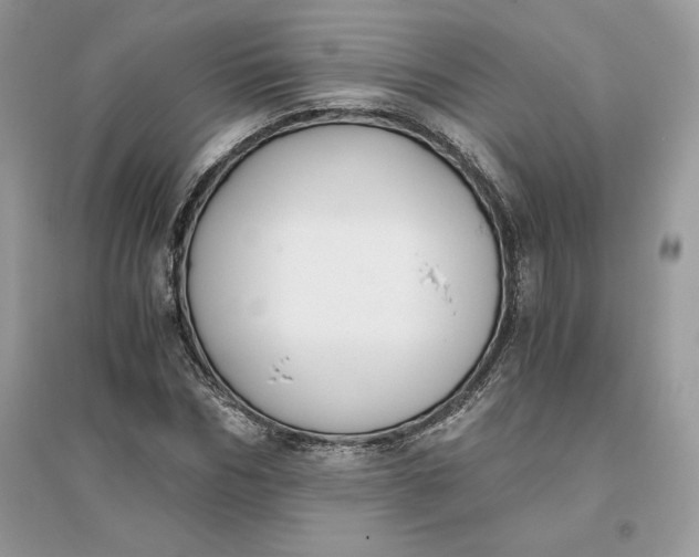 X0000096140970200802011207
