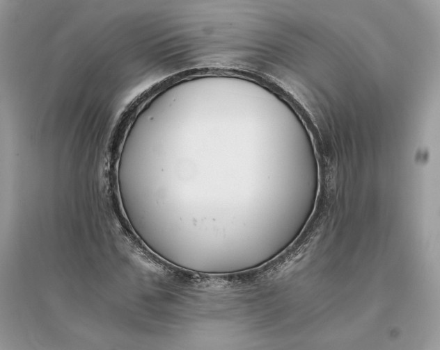 X0000096140971200802011207