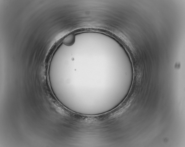 X0000096140974200802011207