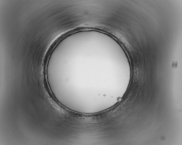 X0000096140976200802011207