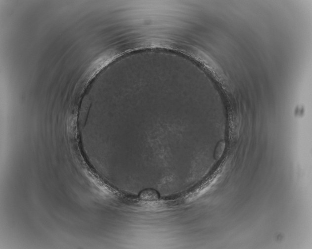 X0000096140977200802011207