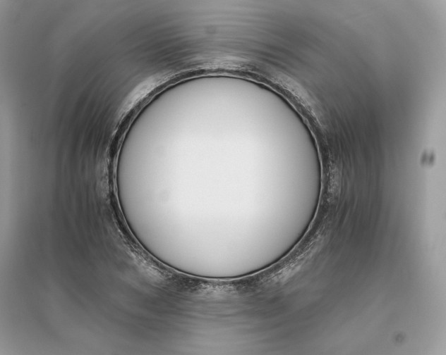 X0000096140978200802011207