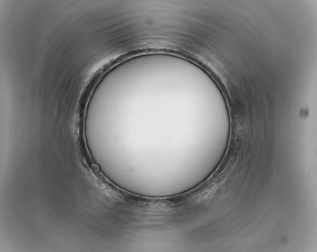 X0000096140979200802011207