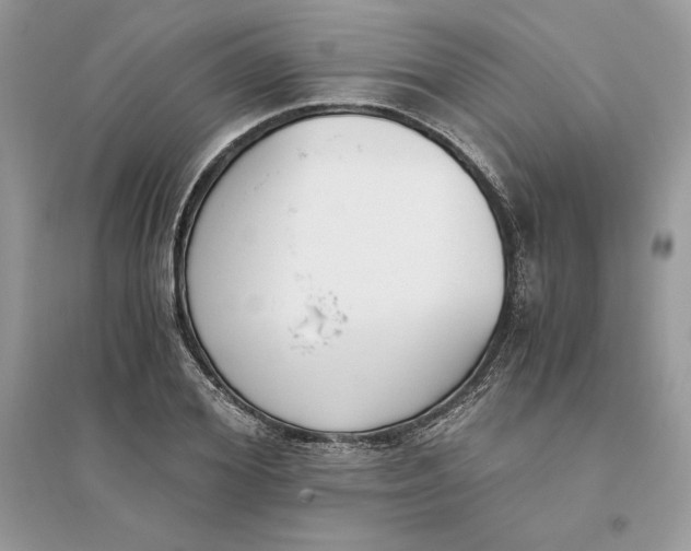 X0000096140980200802011207