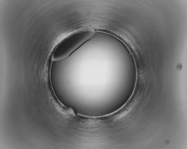X0000096140981200802011207