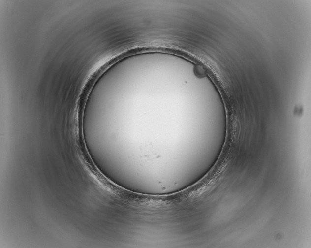 X0000096140982200802011207
