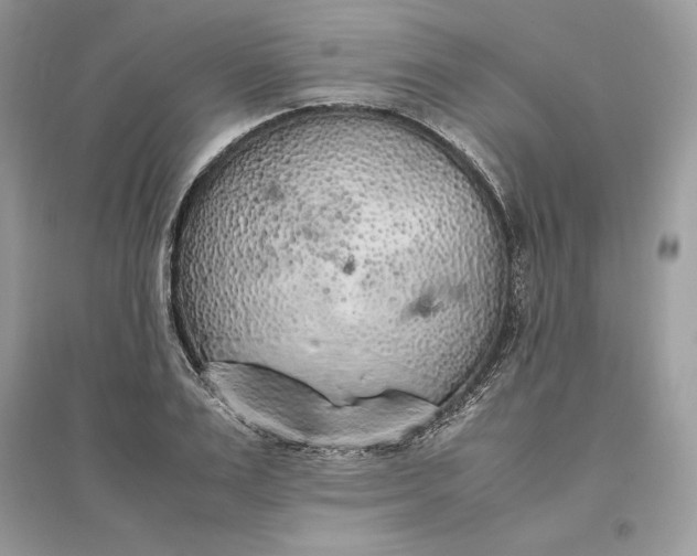 X0000096140983200802011207
