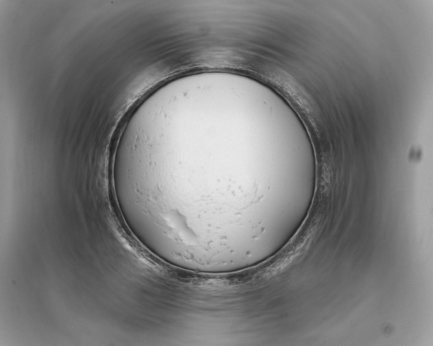 X0000096140986200802011207