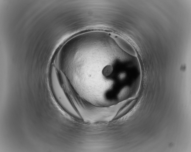 X0000096140989200802011207