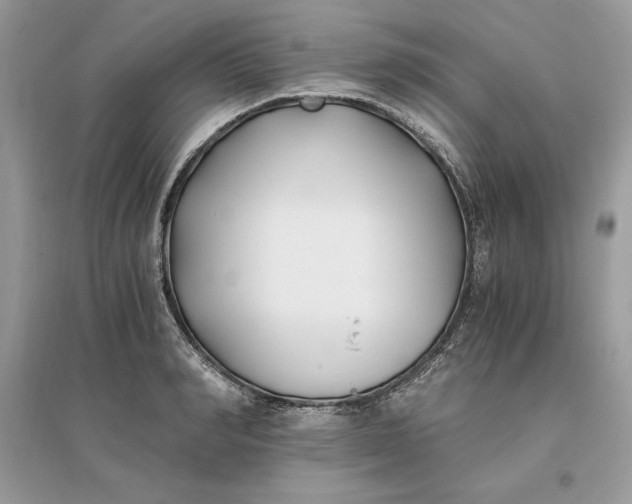 X0000096140990200802011206