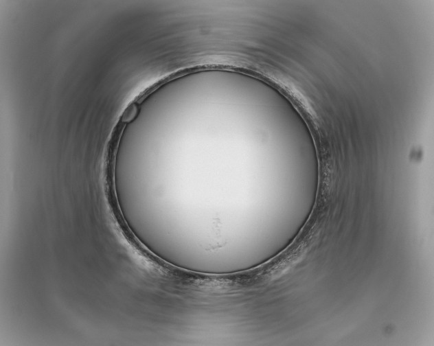 X0000096140991200802011206