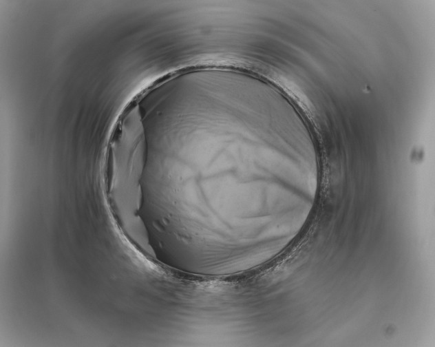 X0000096140992200802011206