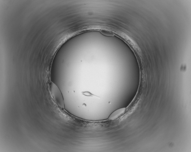X0000096140993200802011206