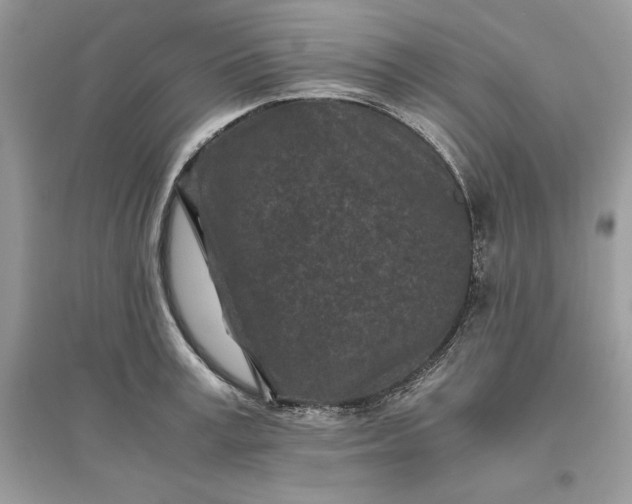 X0000096140995200802011206