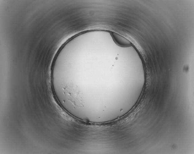 X0000096140996200802011206