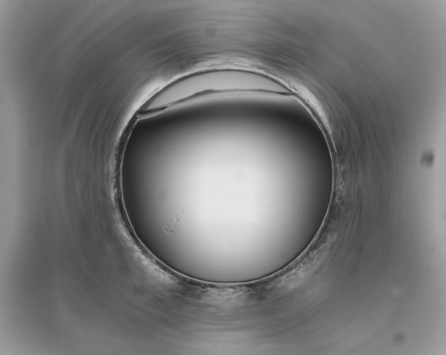 X0000096140997200802011206