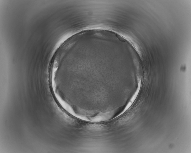 X0000096140998200802011206