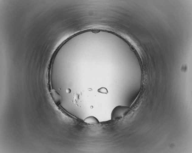 X0000096140999200802011206