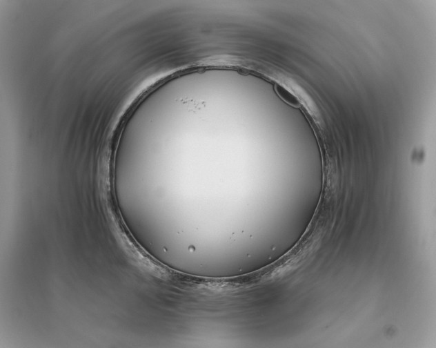 X0000096141000200802011206