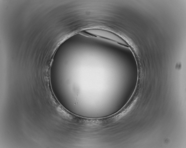 X0000096141001200802011206