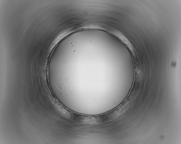 X0000096141002200802011206