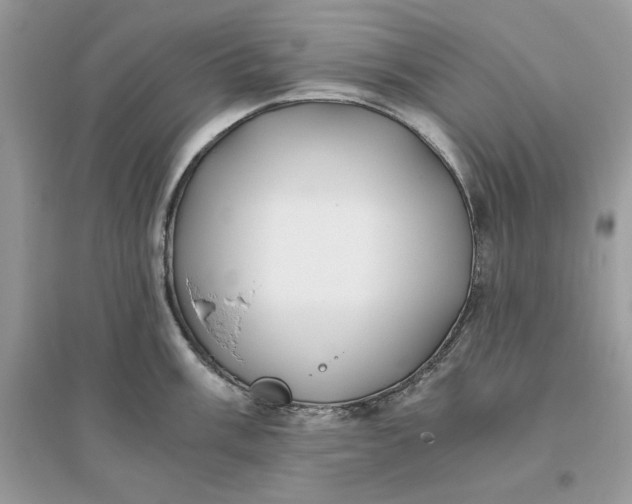 X0000096141003200802011206