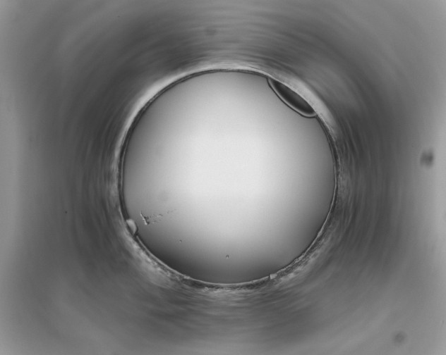 X0000096141004200802011206