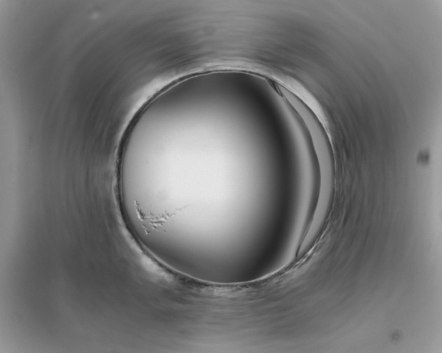 X0000096141005200802011206