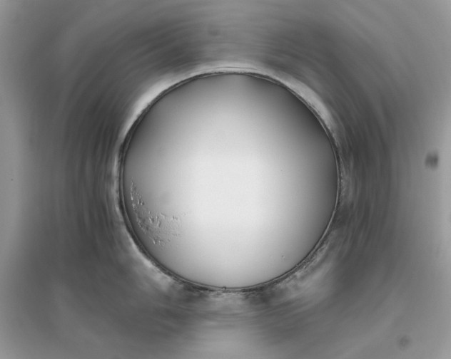 X0000096141006200802011206