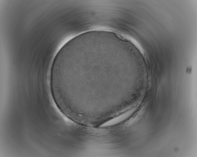X0000096141007200802011206