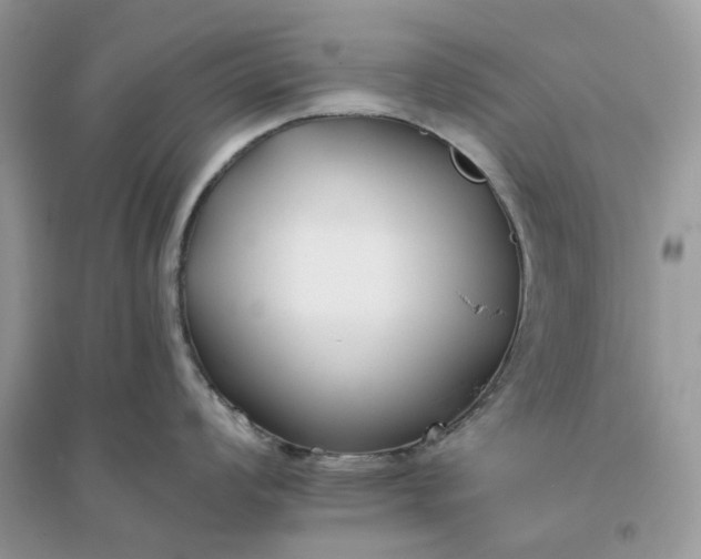 X0000096141008200802011206