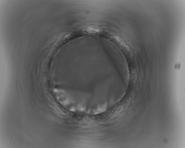 X0000096141009200802011206
