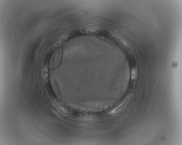 X0000096141011200802011206