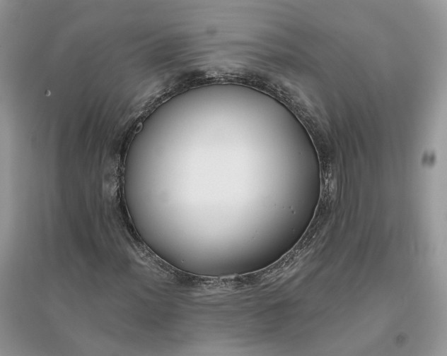 X0000096141012200802011206