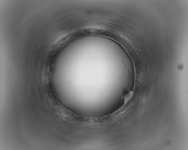 X0000096141014200802011206