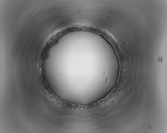 X0000096141016200802011206