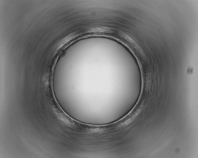 X0000096141017200802011206