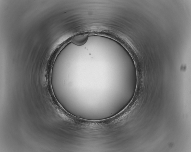 X0000096141018200802011206
