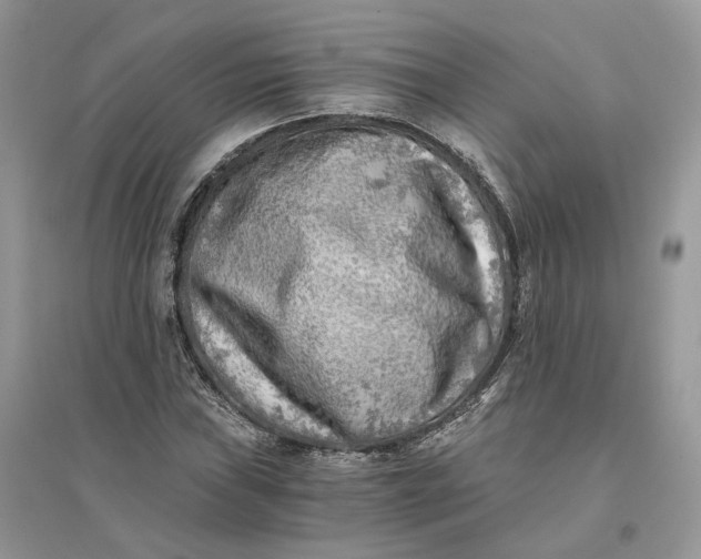 X0000096141019200802011206