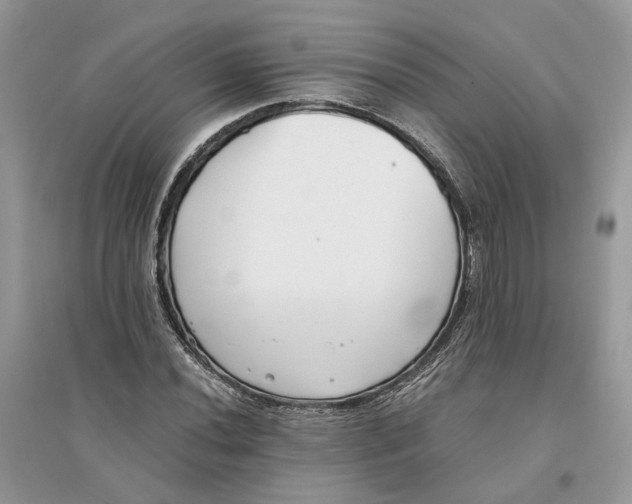 X0000096141020200802011206
