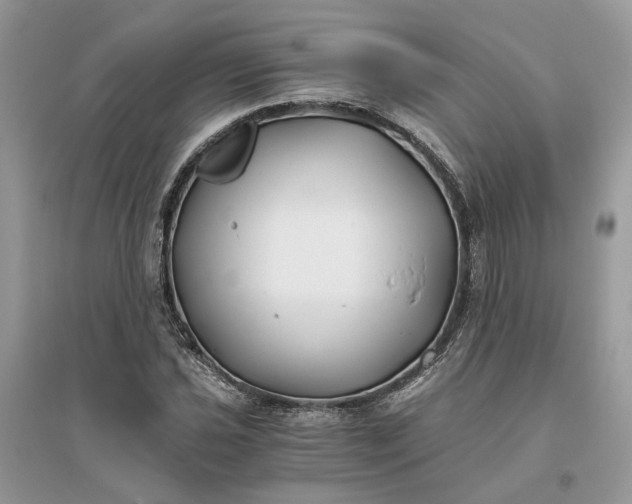 X0000096141021200802011206