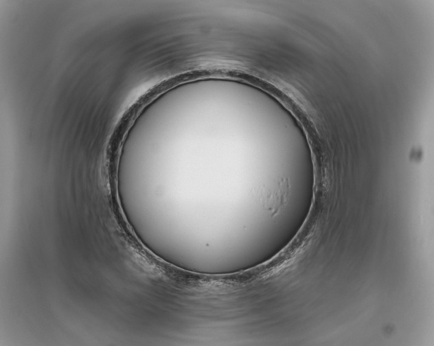 X0000096141022200802011206