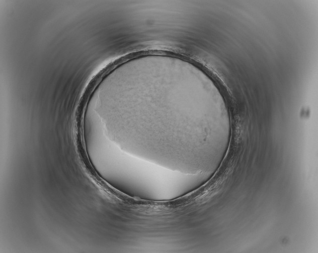 X0000096141024200802011206