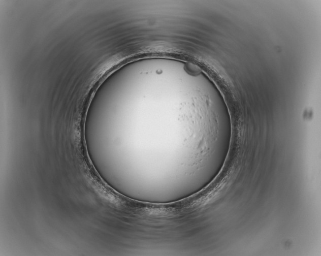 X0000096141025200802011206