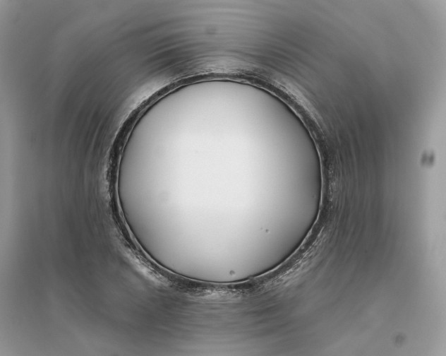 X0000096141026200802011206