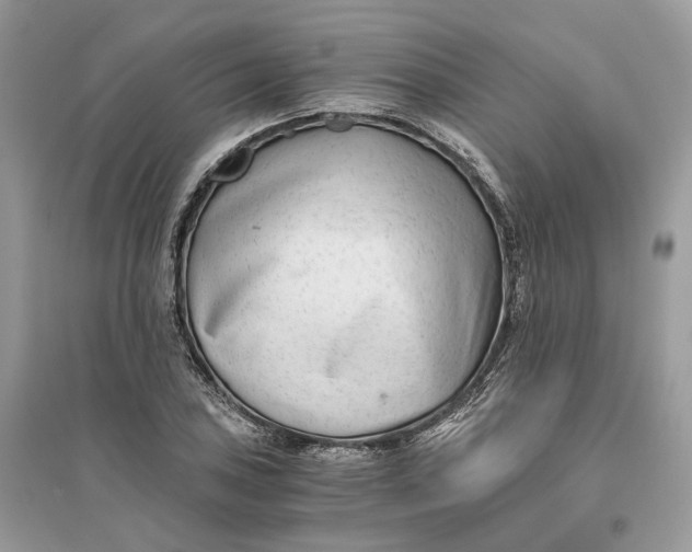 X0000096141027200802011206