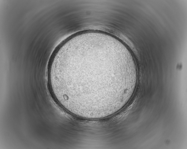 X0000096141028200802011206