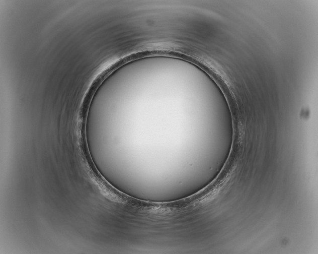 X0000096141029200802011206
